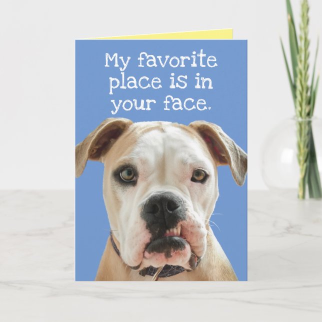 American Bulldog No Bull Father's Day Card (Front)