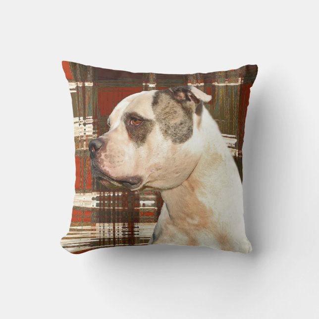 American Bulldog Plaid Pillow (Front)