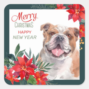 American Bulldog Poinsettia Border Christmas Square Sticker