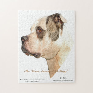 American Bulldog Profile Jigsaw Puzzle