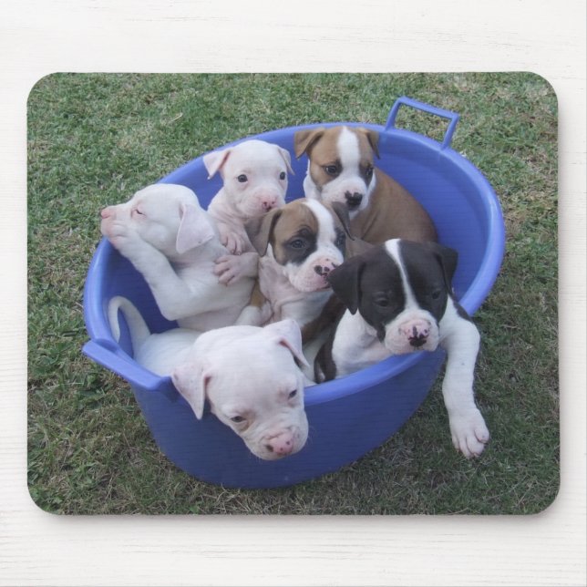 American Bulldog Puppies Mouse Mat (Front)