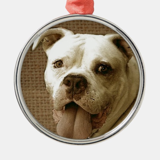 American Bulldog round ornament (Front)