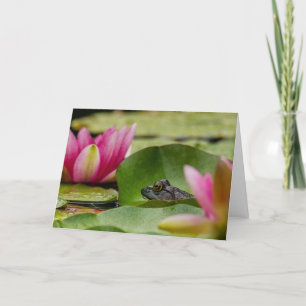 American Bullfrog Among Water Lilies Holiday Card