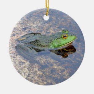 American Bullfrog in Acadia Ceramic Tree Decoration