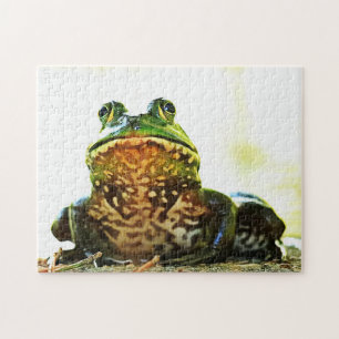American Bullfrog Posing Puzzle