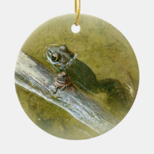 American Bullfrog - Rana catesbeiana Ceramic Tree Decoration