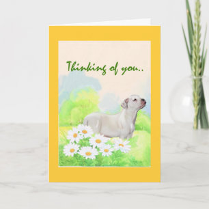 American Bullldog sympathy Card