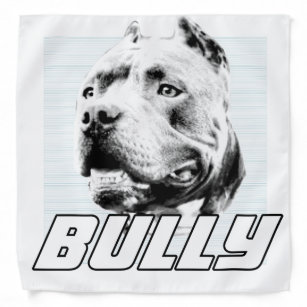 American sales bully clothing