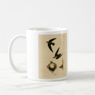 American (Chimney) Swift Audubon, Birds of America Coffee Mug