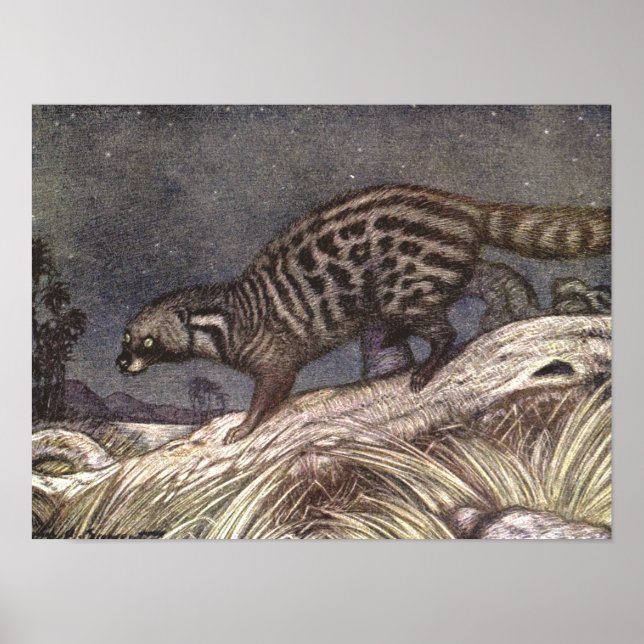 American Civet by Louis Sargent, Vintage Animals Poster (Front)