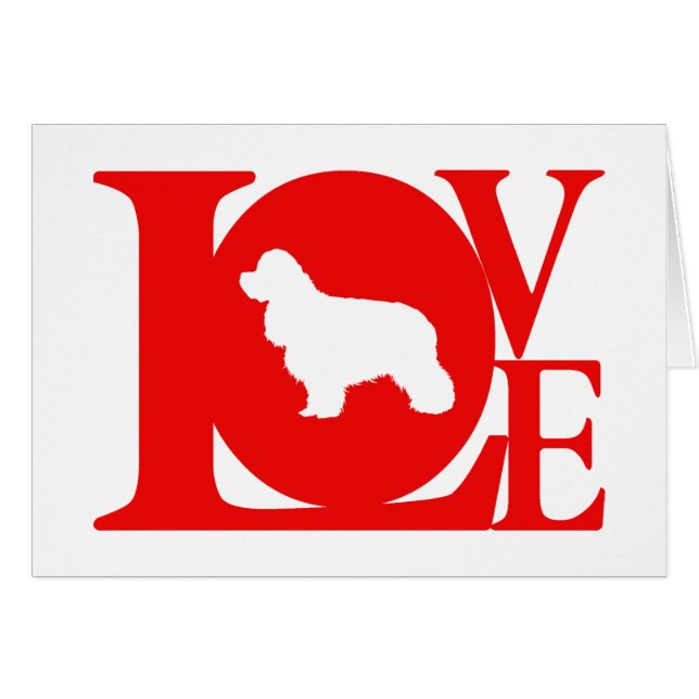 American Cocker Spaniel (Front Horizontal)