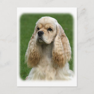 American Cocker Spaniel 9Y244D-035_2 Postcard