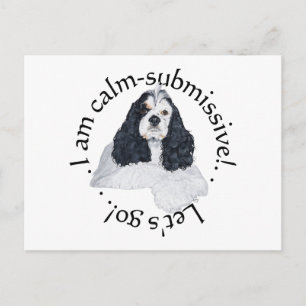 American Cocker Spaniel Calm Submissive Postcard