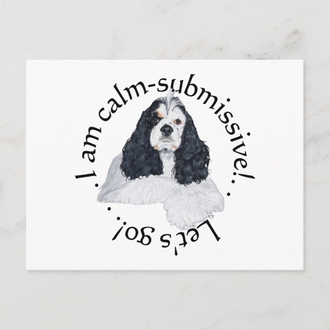 American Cocker Spaniel Calm Submissive Postcard (Front)