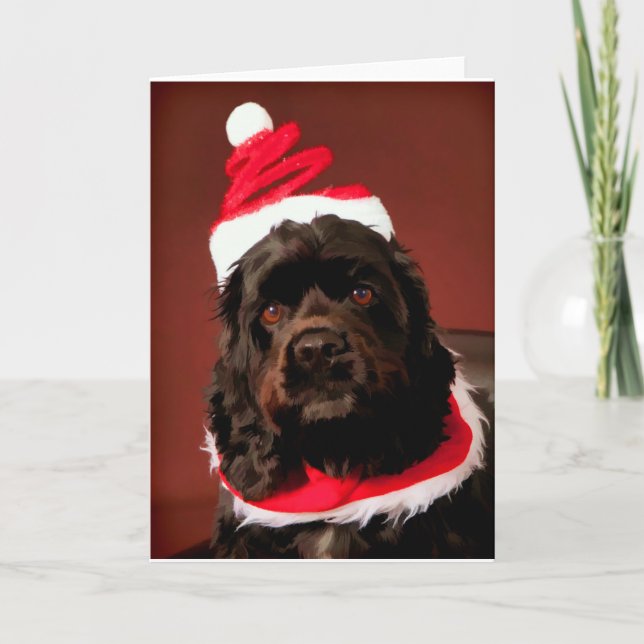 American Cocker Spaniel Christmas Card (Front)