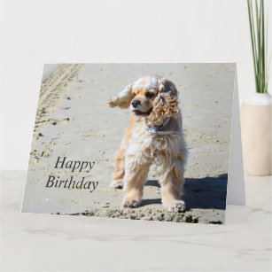 American Cocker Spaniel dog custom card