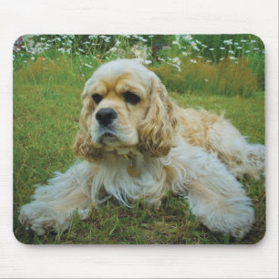 American Cocker Spaniel Dog Mouse Mat
