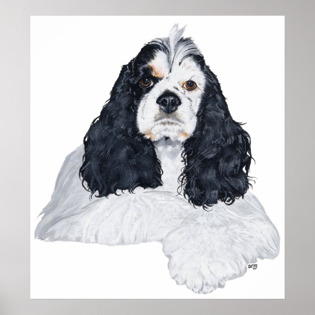 American Cocker Spaniel Poster (Front)
