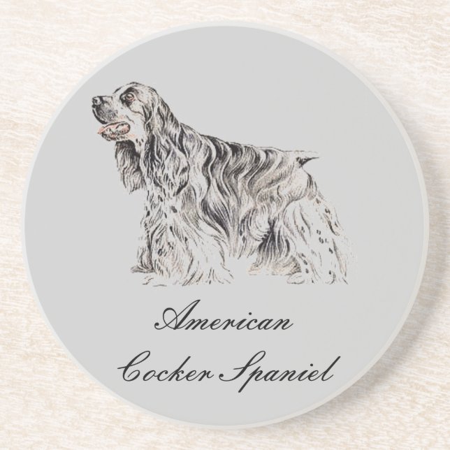 American Cocker Spaniel Sandstone Coaster (Front)