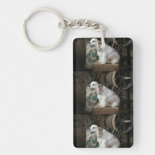 american cocker spaniel sitting key ring
