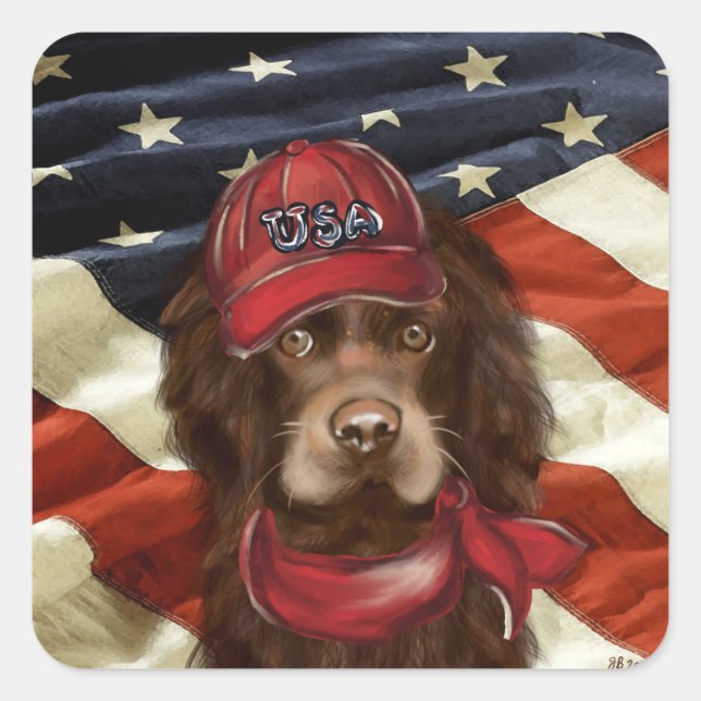 American Cocker Spaniel  Square Sticker (Front)