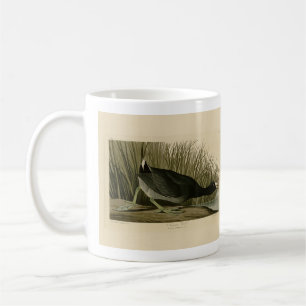 American Coot from Audubon's Birds of America Coffee Mug
