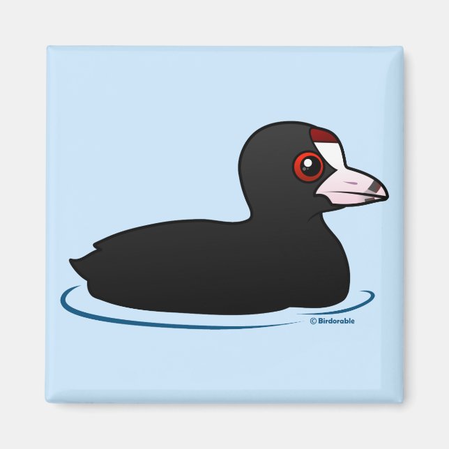 American Coot Magnet (Front)