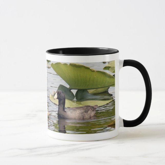 American Coot Mug (Right)