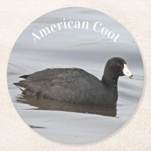 American Coot Round Paper Coaster