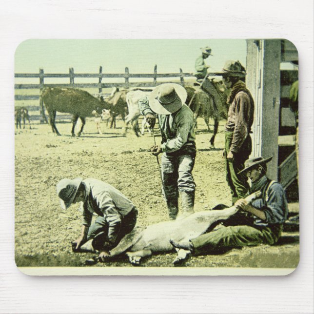 American cowboys branding a calf, c.1900 (photo) mouse mat (Front)