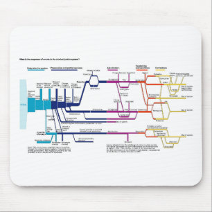 American Criminal Justice System Process Flowchart Mouse Mat
