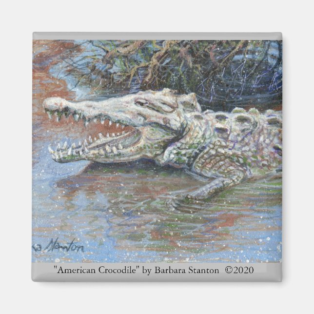 "American Crocodile" Magnet (Front)
