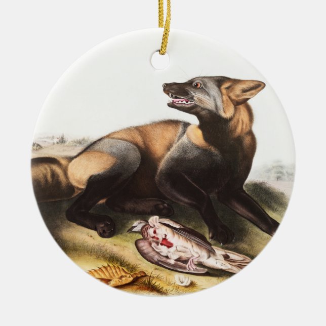 American Cross Fox (Canis vulpes) Illustration Ceramic Tree Decoration (Front)