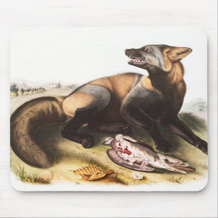 American Cross Fox (Canis vulpes) Illustration Mouse Mat