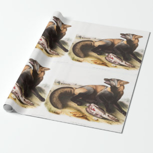 American Cross Fox (Canis vulpes) Illustration Wrapping Paper