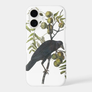 American Crow by Audubon