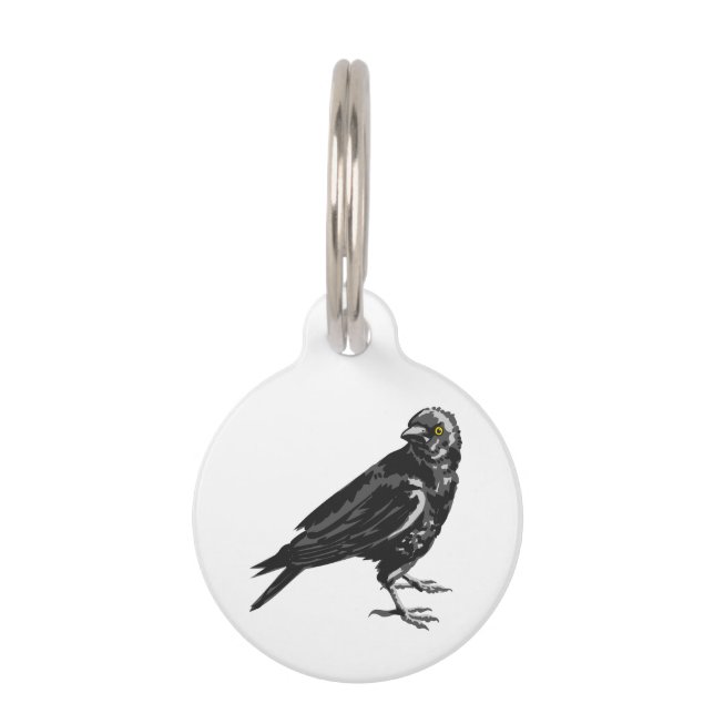American Crow Pet Tag (Front)
