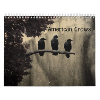 American Crows Calendar