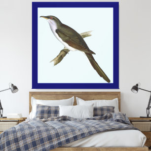American Cuckoo Bird Canvas Print