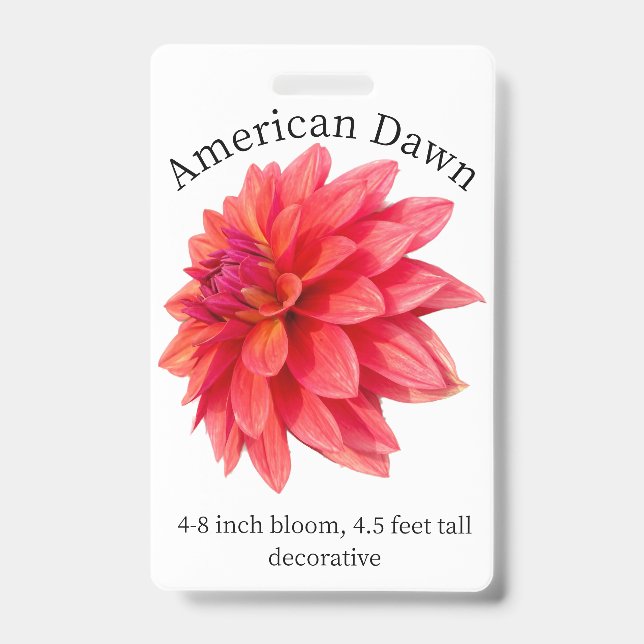 American Dawn Dahlia ID Badge (Front)