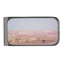 American Desert Horses P8670