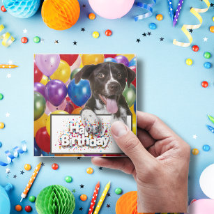 American Dog Happy Birthday Balloon Sticker