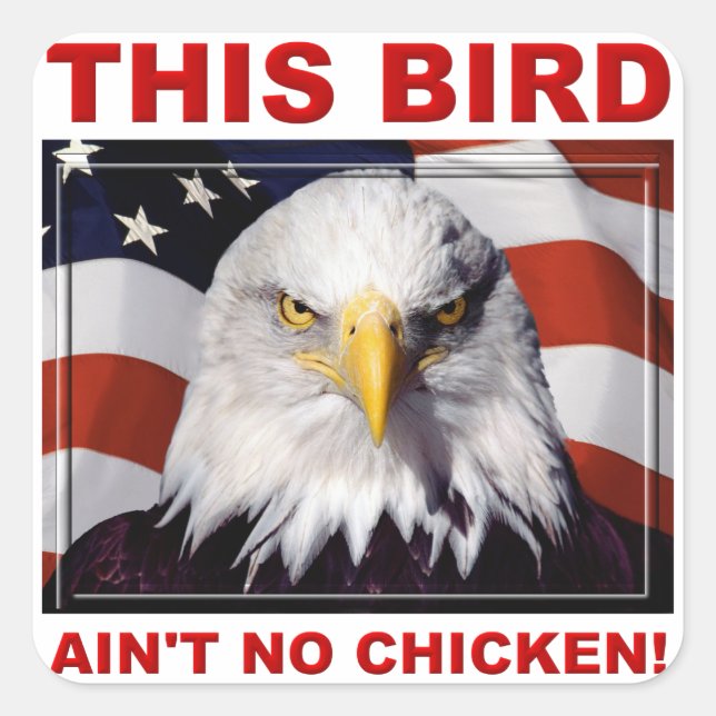 American Eagle Ain't No Chicken Sticker Stickers (Front)