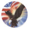 american-eagle-and-flag-ii