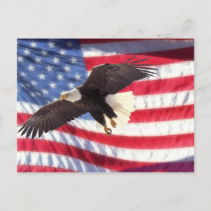 American Eagle and Flag Postcard