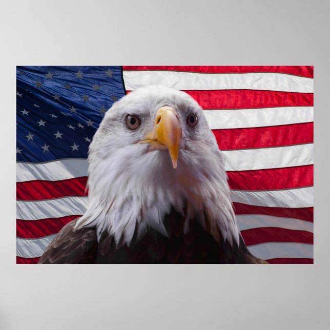 American eagle and flag poster (Front)