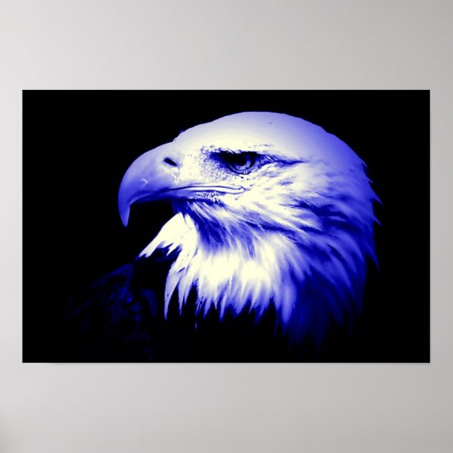 American Eagle Bald Eagle Poster Print (Front)