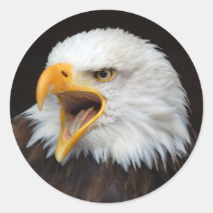 AMERICAN EAGLE by Jean-Louis Glineur Classic Round Sticker