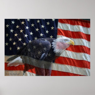 American Eagle Flag Print