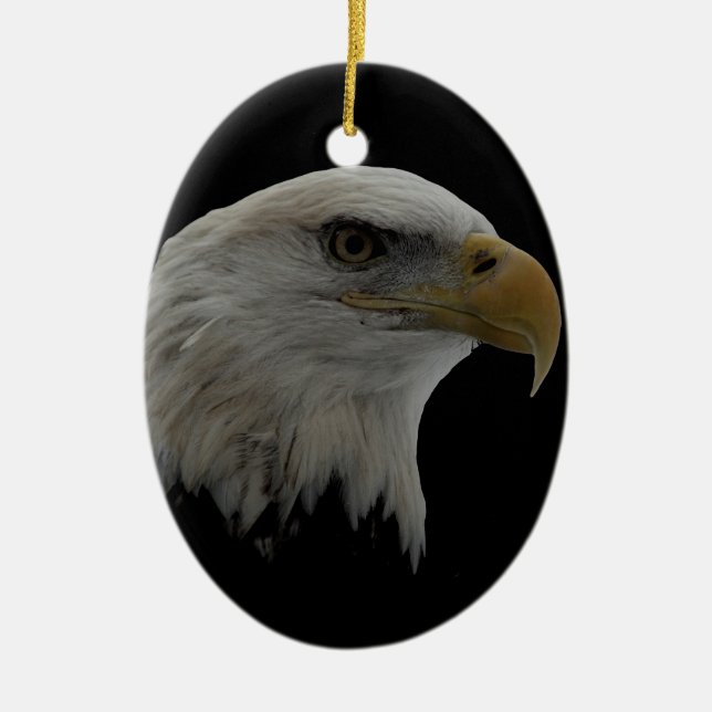 American Eagle Leadership Motivational Ceramic Tree Decoration (Front)